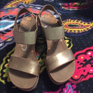 OTBT Bushnell Wedges